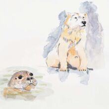 Eisbär und Seehund